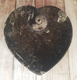 Ammonite fossil heart plate on ggandj.com gypsy gems & jewelry