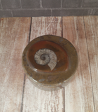 Ammonite Keepsake box Gypsy Gems & Jewelry™ GGandJ.com Naturally Unique