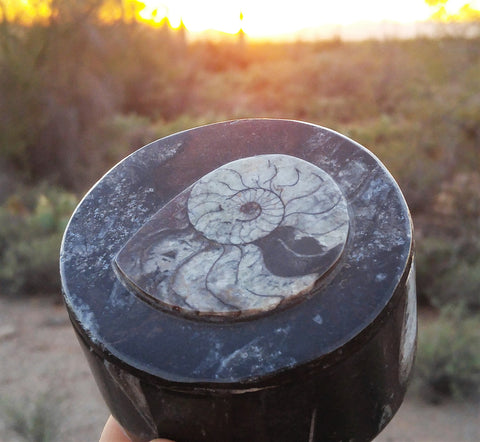 Ammonite Keepsake box Gypsy Gems & Jewelry™