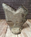 GGandJ.com Mini Moroccan Fossil Statue Rear View