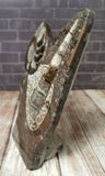 GGandJ.com Mini Moroccan Fossil Statue Profile View