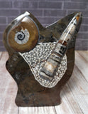 GGandJ.com Gypsy Gems & Jewelry Mini Moroccan Fossil - Statue B
