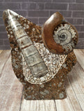 GGandJ.com Gypsy Gems & Jewelry Mini Moroccan Fossil - Statue C