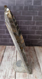 GGandJ.com Ammonite & Orthoceras Small Fossil Statue Side view