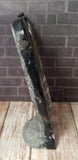 GGandJ.com Ammonite & Orthoceras Small Tulip Fossil Statue Profile view
