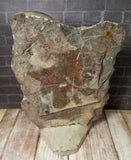 Medium Fossil Statue A - Rear View Gypsy Gems & Jewelry GGandJ.com