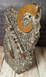 Ammonite & Orthoceras Medium Abstract Fossil Statue - A