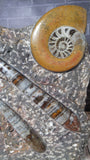 Medium Fossil Statue A - Front View Moroccan Abstract Art Gypsy Gems & Jewelry GGandJ.com