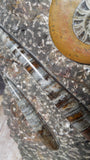 Medium Fossil Statue A - Close-up View Moroccan Abstract Art Gypsy Gems & Jewelry GGandJ.com