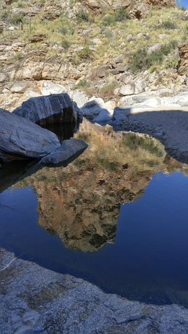 Guardian Rock Reflection: Desert Photography Collection by Heather Brown GGandJ.com