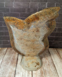 Medium Fossil Statue B - Rear View Gypsy Gems & Jewelry GGandJ.com