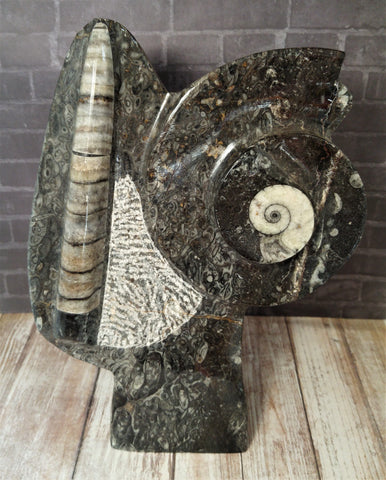 Gypsy Gems & Jewelry™ Naturally Unique™ Medium Fossil Statue C - GGandJ.com