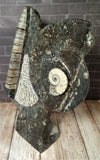 Medium Fossil Statue C - Front View Moroccan Abstract Art Gypsy Gems & Jewelry GGandJ.com