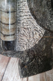 Medium Fossil Statue C - Close-up View Moroccan Abstract Art Gypsy Gems & Jewelry GGandJ.com