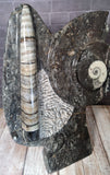 Moroccan Fossil Abstract Statue Handmade GGandJ.com