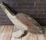 Ammonite & Orthoceras Medium Abstract Fossil Statue - D