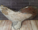 Ammonite & Orthoceras Medium Abstract Fossil Statue - D
