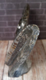 Ammonite & Orthoceras Medium Abstract Fossil Statue - D