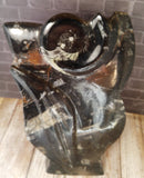 Handcrafted Moroccan Fossil Statue Ammonite GGandJ.com