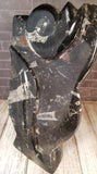 Gypsy Gems & Jewelry™ Naturally Unique™ Fossil Statue