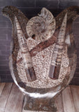 Gypsy Gems & Jewelry™ Naturally Unique™Ammonite & Orthoceras Fossil Statue From Morocco Abstract Art