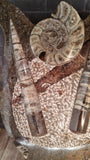 Large Statue B - Close up View Moroccan Abstract GGandJ.com Ammonite Orthoceras Marine Fossils