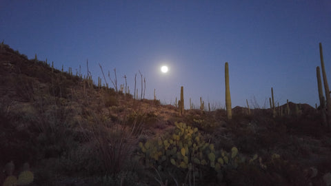 "Desert Moon" Photo of Moon over desert landscape by Heather Brown GGandJ.com
