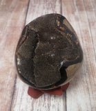 GG&J Naturally Unique™ Black Druzy Septarian Freeform