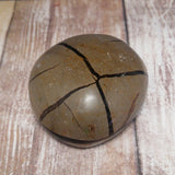GG&J Naturally Unique™ Septarian Freeform