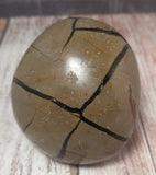 GG&J Naturally Unique™ Septarian Freeform
