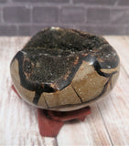 Natural Madagascar Black Druzy Septarian Freeform