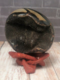 GG&J Naturally Unique™ Black Druzy Septarian Freeform