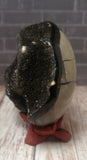 Natural Madagascar Black Druzy Septarian Freeform