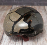 Natural Madagascar Septarian Freeform