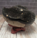 GG&J Naturally Unique™ Black Druzy Septarian Freeform