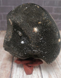 GG&J Naturally Unique™ Black Druzy Septarian Freeform