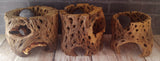 Cholla Cactus Gem Stand Gypsy Gems & Jewelry™