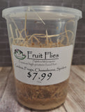 Reptanicals Melanogaster fruit flies frog food reptile supplies