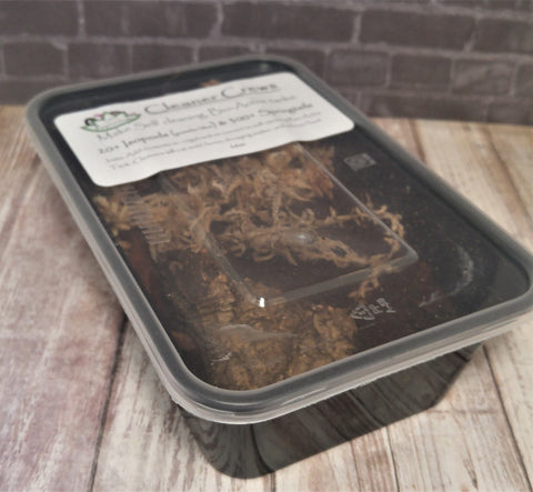 Reptanicals Cleaner Crew Bio-Active Isopod and Springtail Kit ; 10 Gallon terrarium