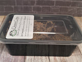 Reptanicals Powder Blue Isopod Cleaner Crew Bio-Active terrarium kit on GGandJ.com