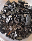 Reptanicals 8oz Springtail on charcoal culture GGandJ.com