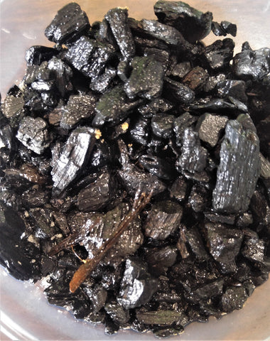 Reptanicals 8oz Springtail on charcoal culture GGandJ.com