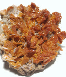 Orange and Red Natural Stone