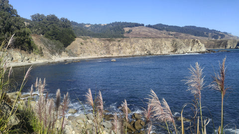 Fort Ross Cliffs and Grasses