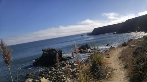 Walking path along Sonoma Coast