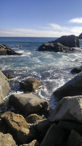 Rocky Sonoma Coast