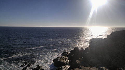 Evening Sun on Sonoma Coast