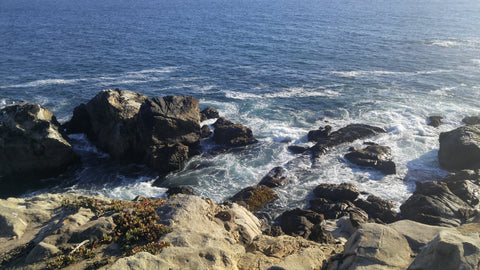 Coast of Fort Ross