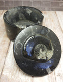 Fossil Keepsake box