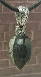 Orthoceras Pendulum Pendant